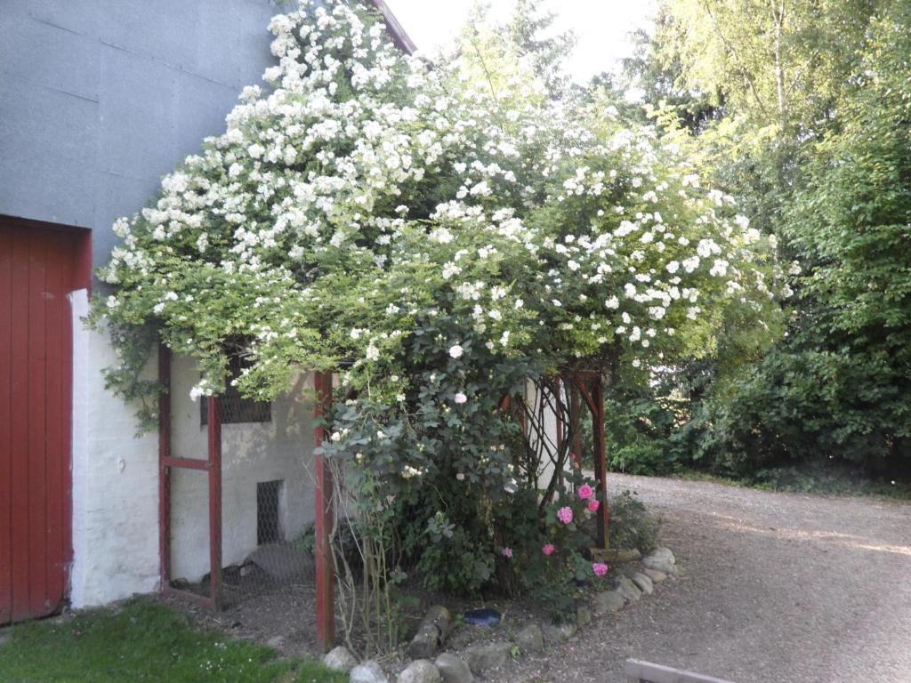 Lille Degnbolヴィラ エクステリア 写真